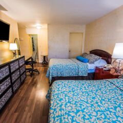 Отель Hollywood Downtowner Inn США, Лос-Анджелес - отзывы, цены и фото номеров - забронировать отель Hollywood Downtowner Inn онлайн комната для гостей фото 4