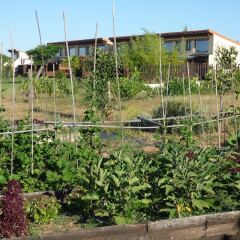 Отель Rural Bioclimático Sabinares del Arlanza Испания, Когольос - отзывы, цены и фото номеров - забронировать отель Rural Bioclimático Sabinares del Arlanza онлайн фото 4