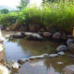 Отель Gokan Resort Ushidake Тояма бассейн фото 2