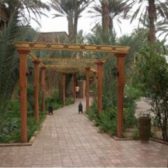 Отель Fibule Du Draa Kasbah Dhôtes Марокко, Загора - отзывы, цены и фото номеров - забронировать отель Fibule Du Draa Kasbah Dhôtes онлайн фото 5