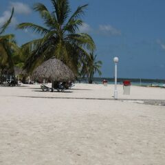 RIG Hotel Boca Chica с домашними животными