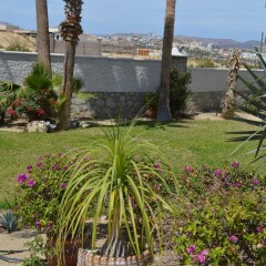 Отель Casa de Las Flores 3 Bedrooms 3 Bathrooms Villa