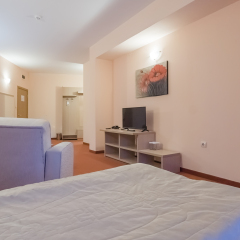 Отель Orpheus Hotel Болгария, Пампорово - отзывы, цены и фото номеров - забронировать отель Orpheus Hotel онлайн удобства в номере