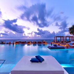 The Retreat Collection at 1 Hotel South Beach с домашними животными