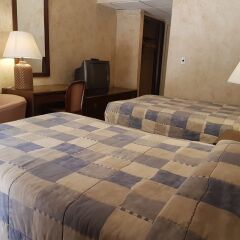 Отель Petra Palace Hotel Иордания, Вади-Муса - отзывы, цены и фото номеров - забронировать отель Petra Palace Hotel онлайн удобства в номере