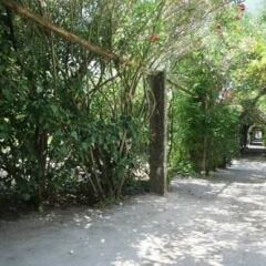 Отель Quinta Da Praia Das Fontes фото 2