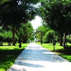 Sural Saray Hotel - All Inclusive фото 7