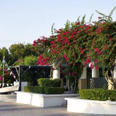 Отель Mitsis Rodos Maris Resort & Spa - All Inclusive бассейн