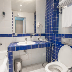 Гостиница Гранд Авеню 3* Стандартный номер разные типы кроватей фото 15