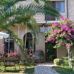 Отель Agriturismo Bassarì Италия, Реканати - отзывы, цены и фото номеров - забронировать отель Agriturismo Bassarì онлайн фото 20