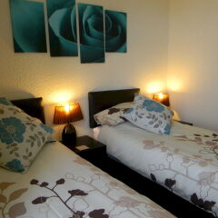 Springfield Hotel детские мероприятия