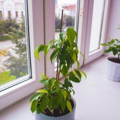 Гостиница B&B Hostel Yekaterinburg в Екатеринбурге - забронировать гостиницу B&B Hostel Yekaterinburg, цены и фото номеров Екатеринбург интерьер отеля фото 2