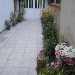 Отель Salmina House Болгария, Кюстендил - отзывы, цены и фото номеров - забронировать отель Salmina House онлайн фото 5