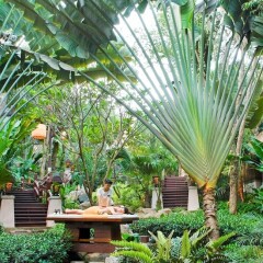 Отель Pimalai Resort And Spa Таиланд, Ланта - отзывы, цены и фото номеров - забронировать отель Pimalai Resort And Spa онлайн фото 3