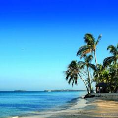 Отель Rooms on the Beach Negril пляж