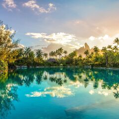 Отель The St Regis Bora Bora Resort Французская Полинезия, Бора-Бора - отзывы, цены и фото номеров - забронировать отель The St Regis Bora Bora Resort онлайн приотельная территория фото 2
