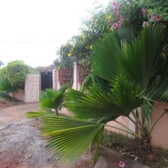 Отель GHouse Accra фото 5