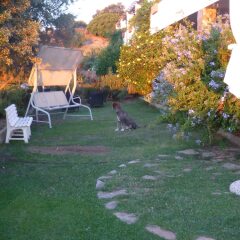 Отель Agriturismo Comino Alto Синискола фото 17