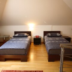 Отель Queen's Apartments Сербия, Белград - отзывы, цены и фото номеров - забронировать отель Queen's Apartments онлайн комната для гостей фото 3