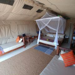 Отель Back of Beyond Dune Camp - Yala детские мероприятия фото 2