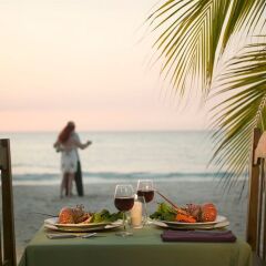 Отель Whistling Bird Resort питание фото 2