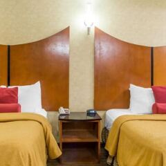 Отель Quality Inn and Suites North/Polaris США, Колумбус - отзывы, цены и фото номеров - забронировать отель Quality Inn and Suites North/Polaris онлайн детские мероприятия