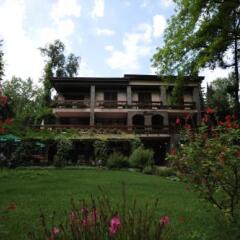 Отель Restaurant Dreri Албания, Тирана - отзывы, цены и фото номеров - забронировать отель Restaurant Dreri онлайн фото 19
