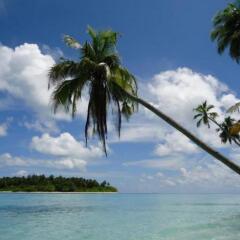 Отель Thulusdhoo Surf Camp Остров Гасфинолу пляж фото 2