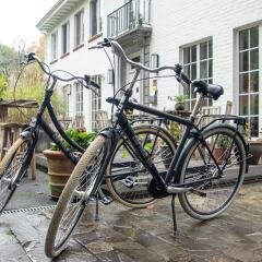 Отель B&B Hof Ter Beuke спортивное сооружение