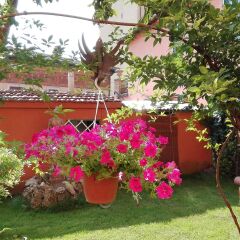 Отель B&b Al Giardino Di Alice Перуджа помещение для мероприятий