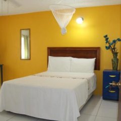 Fern Tree Bed And Breakfast in Basseterre, St. Kitts and Nevis from 140$, photos, reviews - zenhotels.com guestroom photo 4