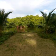 Отель Aqua Front Yala Resort Шри-Ланка, Тиссамахарама - отзывы, цены и фото номеров - забронировать отель Aqua Front Yala Resort онлайн фото 3