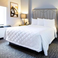 Отель Radisson Martinique on Broadway США, Нью-Йорк - отзывы, цены и фото номеров - забронировать отель Radisson Martinique on Broadway онлайн комната для гостей фото 4