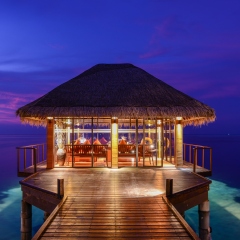 Отель Adaaran Prestige Ocean Villas Остров Гасфинолу гостиничный бар