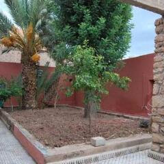 Отель Hôtel La Gazelle Ouarzazate Марокко, Уарзазат - отзывы, цены и фото номеров - забронировать отель Hôtel La Gazelle Ouarzazate онлайн фото 3