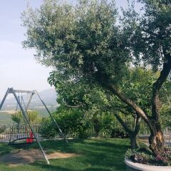 Отель Agriturismo Zampacorta Маккиагодена детские мероприятия