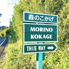 Отель Cottage Morinokokage Япония, Якусима - отзывы, цены и фото номеров - забронировать отель Cottage Morinokokage онлайн фото 15