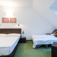 Novum Hotel Vitkov комната для гостей фото 14