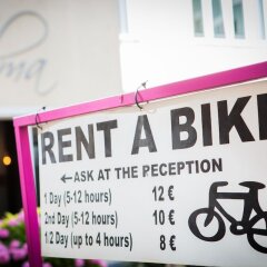 Отель CALMA Berlin Mitte Германия, Берлин - отзывы, цены и фото номеров - забронировать отель CALMA Berlin Mitte онлайн с домашними животными