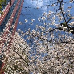 Отель Villa Fontaine Tokyo-Tamachi Япония, Токио - 1 отзыв об отеле, цены и фото номеров - забронировать отель Villa Fontaine Tokyo-Tamachi онлайн пляж