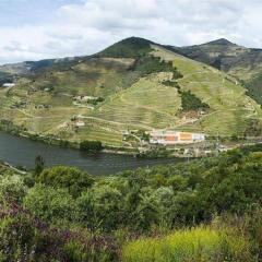 Отель Quinta De La Rosa Саброза фото 2
