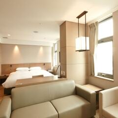 Отель Mayplace Seoul Dongdaemun Южная Корея, Сеул - отзывы, цены и фото номеров - забронировать отель Mayplace Seoul Dongdaemun онлайн комната для гостей фото 5