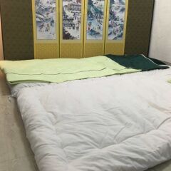 MK guest house - Hostel с домашними животными