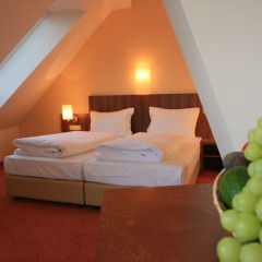 Отель Hahn Hotel Vienna City Австрия, Вена - отзывы, цены и фото номеров - забронировать отель Hahn Hotel Vienna City онлайн комната для гостей фото 6