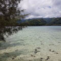 Отель Motu Mapeti - Tahiti Private Island фото 2