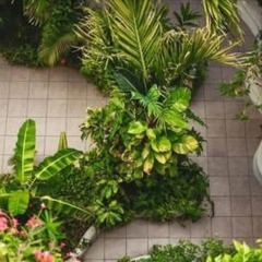 Отель Encanto Riviera Мексика, Плая-дель-Кармен - отзывы, цены и фото номеров - забронировать отель Encanto Riviera онлайн фото 7