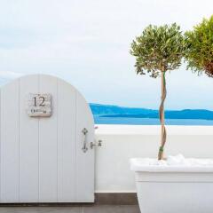 Отель Santorini Secret Suites & Spa с домашними животными