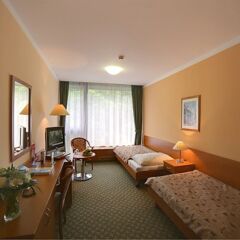 Spa Hotel Thermal Карловы Вары комната для гостей фото 5