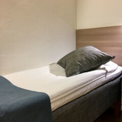 Hotel Söder с домашними животными