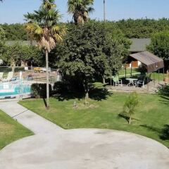 Отель 99 Palms Inn & Suites фото 14